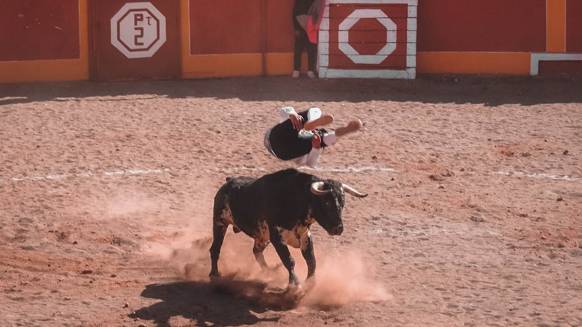 ¿Corridas sin violencia? Dos reflexiones sobre muerte y violencia en la plaza