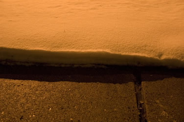 links photo